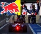 Себастьян Феттель - Red Bull - 2012 Абу-Даби Гран-при, 3 классифицированы